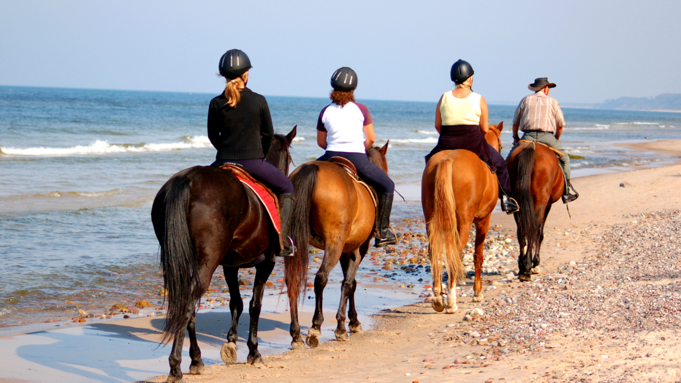 Four people wearing helmets ride horses along a sandy beach near the shoreline, heading away from the camera on a clear day.