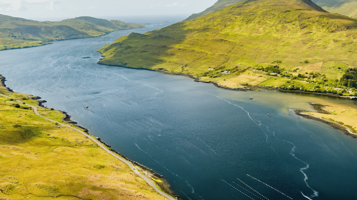 Aerial view of a long, narrow lake bordered by green hills and mountains, with boats and lines visible on the water surface.
