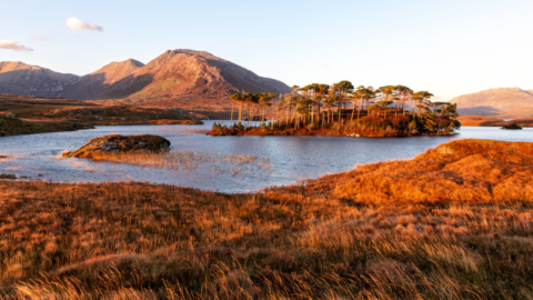 A small tree-covered island sits in a lake surrounded by grassy hills and distant mountains under a clear sky at sunset.