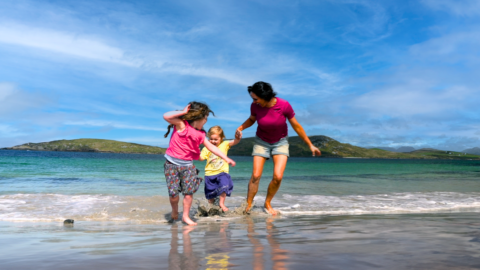 Cream Minimalist Simple Fashion Last Chance Instagram Story (62)