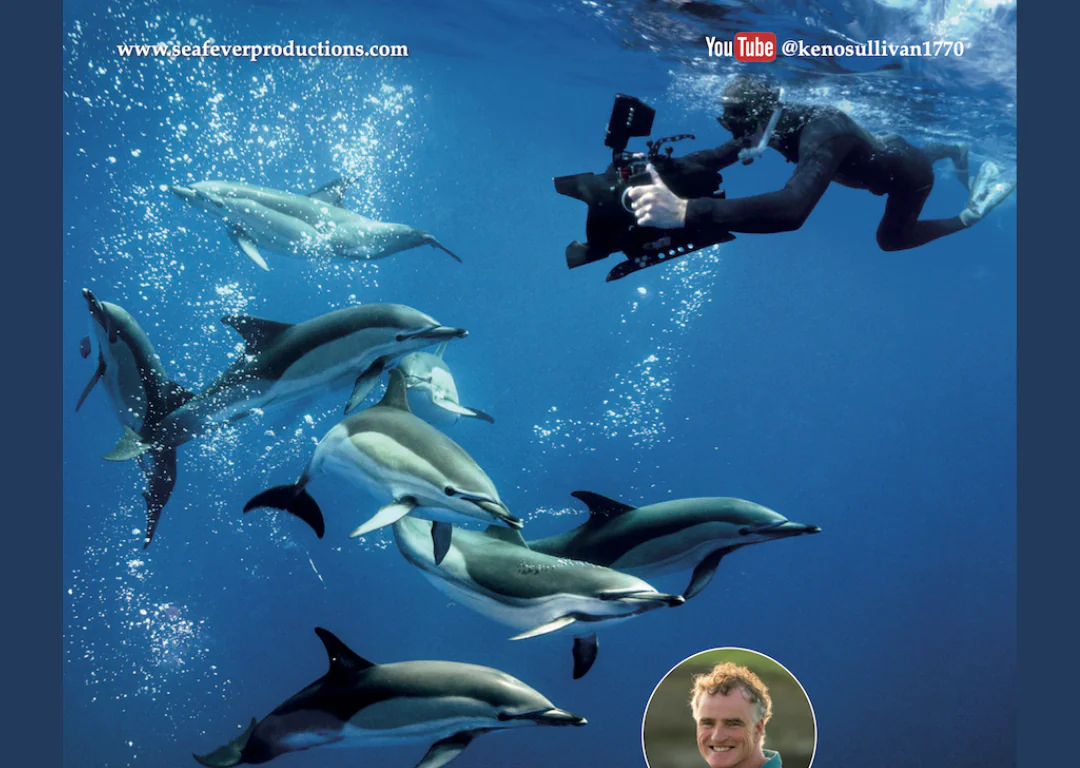 Poster for Ken O&rsquo;Sullivan&rsquo;s film &ldquo;Stories from the Sea&rdquo; at Station House Theatre, Clifden, on November 14, 2026, featuring an underwater photograph of a cameraman filming dolphins.